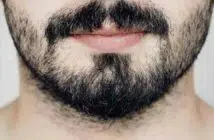 barbe