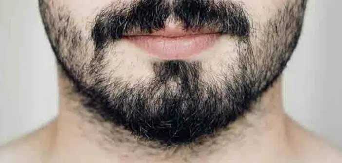 barbe