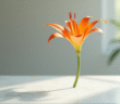 Fleur tshaped colorée sur marbre blanc en lumière naturelle