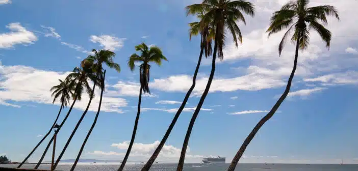 Quand partir en croisière aux Caraïbes : conseils pour choisir la meilleure période