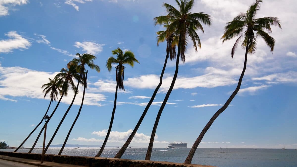 Quand partir en croisière aux Caraïbes : conseils pour choisir la meilleure période