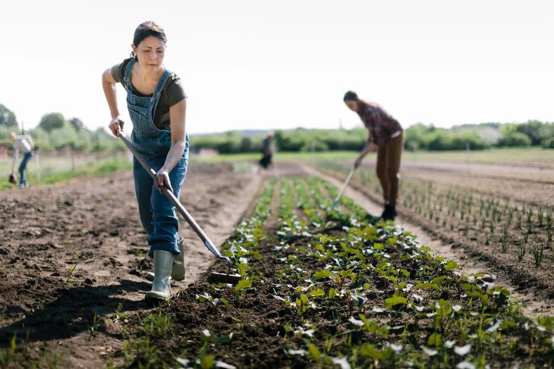 sont les tâches d’un agriculteur